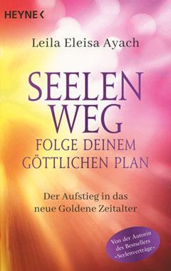 Seelenweg – Folge deinem gttlichen Plan_small