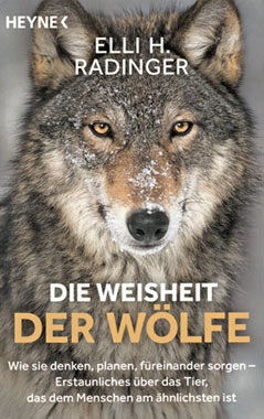Die Weisheit der Wlfe_small