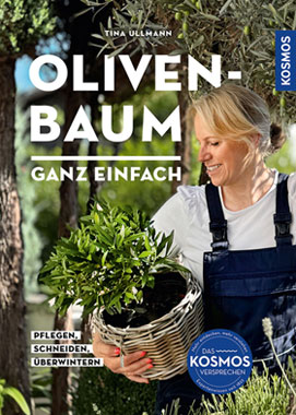 Olivenbaum ganz einfach_small