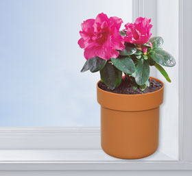 Blumentopfsafe_small03