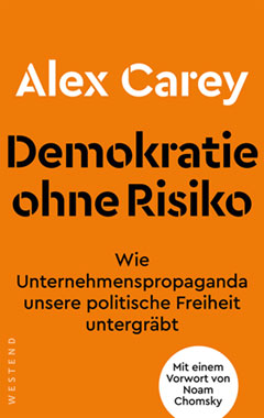 Demokratie ohne Risiko_small