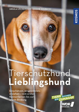 Tierschutzhund Lieblingshund_small
