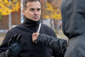 Schnittschutzjacke Oldenburg - Schwarz_small05