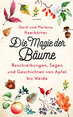 Die Magie der B�ume_small