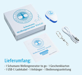 Schumann Wellengenerator 7,83 Hz to go_small05