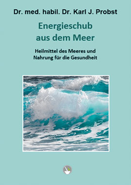 Energieschub aus dem Meer_small