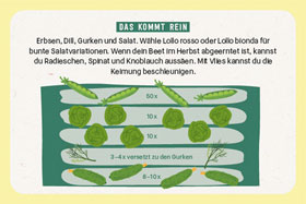 Hochbeet super easy_small03