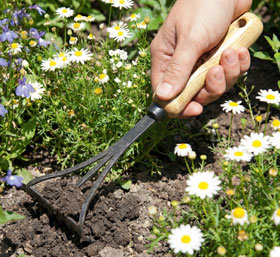 Krumpholz Bio-Handrechen mit Eschengriff_small