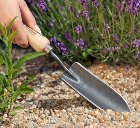 Krumpholz Pflanzenkelle schmal mit Eschengriff_small