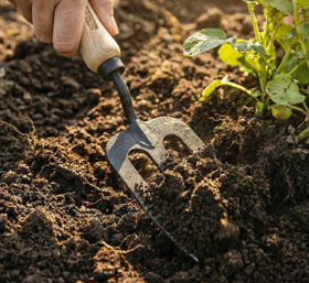 Krumpholz Handgabel 3 Zinken mit Eschengriff_small