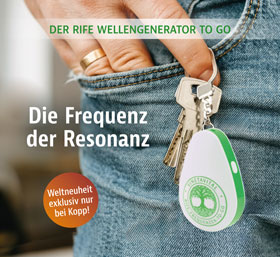 Rife Wellengenerator_small01