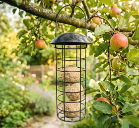 Meisenkn�delspender_small