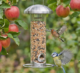 Vogelfutters�ule transparent_small