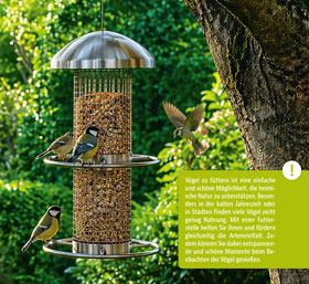Vogelfutters�ule mit Edelstahlgitter_small03