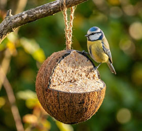 Wildvogelfutter in Kokosnuss mit N�ssen_small
