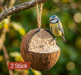 Wildvogelfutter in Kokosnuss mit N�ssen_small