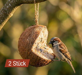 Wildvogelfutter in Kokosnuss mit Mehlw�rmern_small
