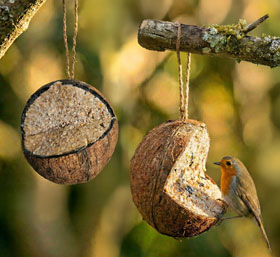 2er-Set Wildvogelfutter in Kokosnuss_small