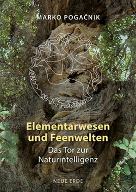 Elementarwesen und Feenwelten_small