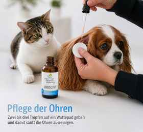 Feele Krabbelstop_small01