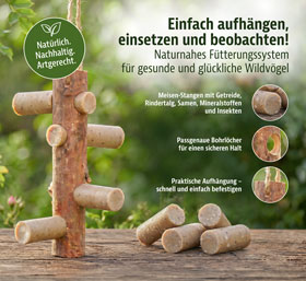 Starter-Set Futterast und 4 Meisenstangen mit Insekten_small02