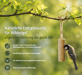 6er-Pack Meisenstangen mit Insekten_small01