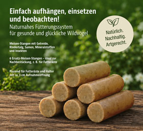 6er-Pack Meisenstangen mit Insekten_small02