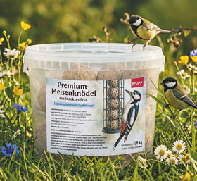 Premium-Meisenknödel aus Insektenfett - 20 Stück_small