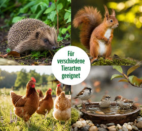 Soldatenfliegenlarven für Heim- und Wildtiere_small01