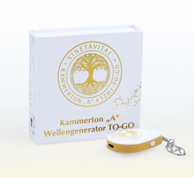 Kammerton A Wellengenerator_small03