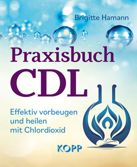 Praxisbuch CDL - Mängelartikel_small