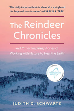 The Reindeer Chronicles - Mängelartikel_small