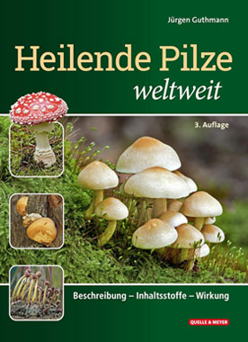 Heilende Pilze weltweit - Mngelartikel_small