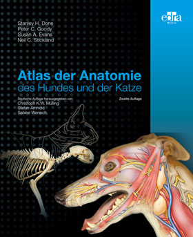 Atlas der Anatomie des Hundes und der Katze - M�ngelexemplar_small