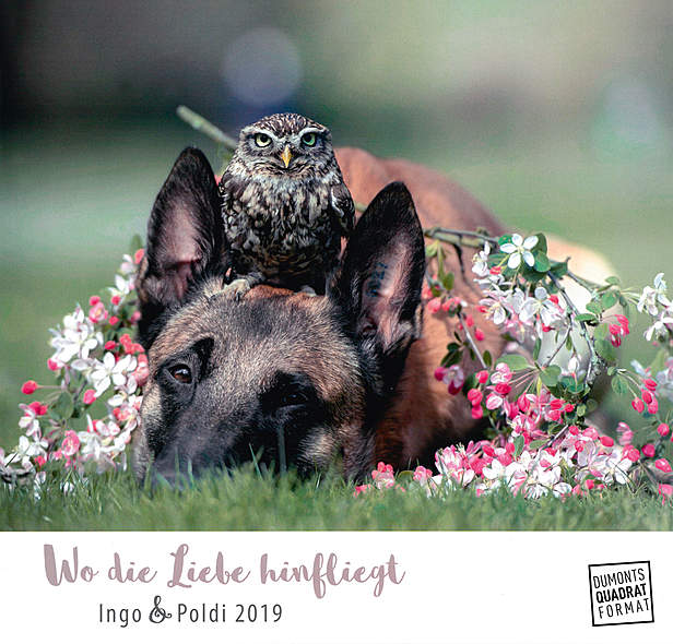 Wo die Liebe hinfliegt 2019 Wo die Liebe hinfliegt 2019