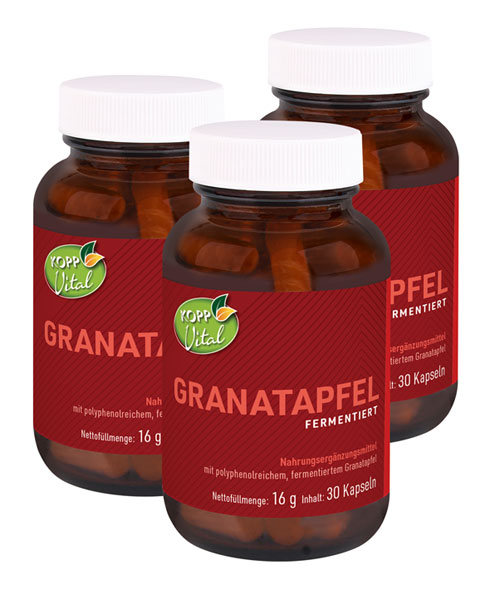 Kopp Vital   Granatapfel fermentiert