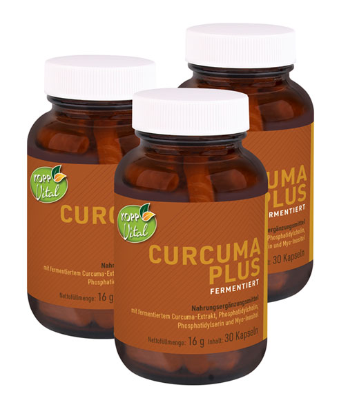 Kopp Vital   Curcuma Plus fermentiert Kapseln mit Curcumin und Phospholipiden in hchster Bioverfgbarkeit