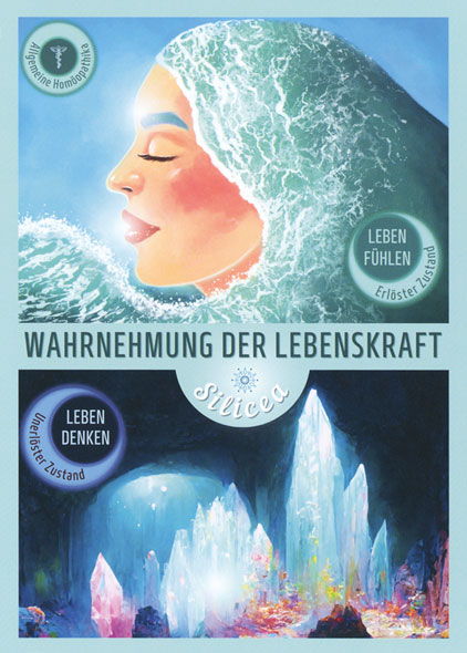 Das Heilkartenset - Die spirituelle Bedeutung von Krankheiten, Lebensthemen und Impfungen01