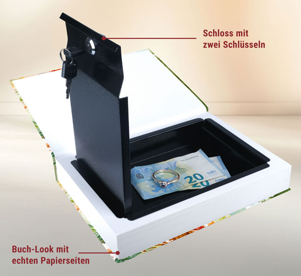 Buchsafe01