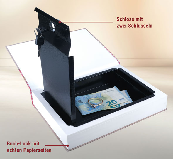 Buchsafe01