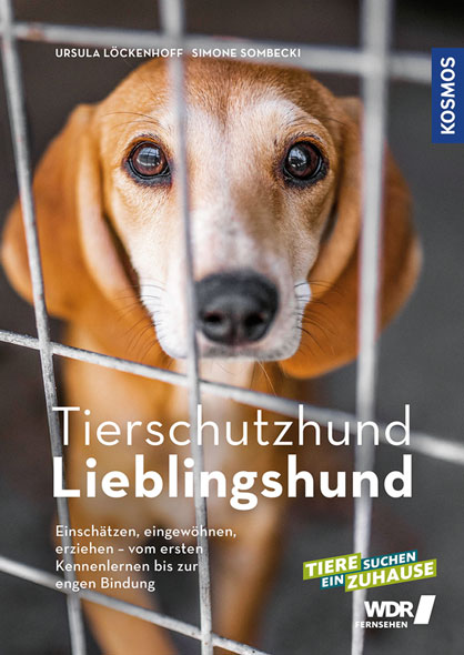 Tierschutzhund Lieblingshund