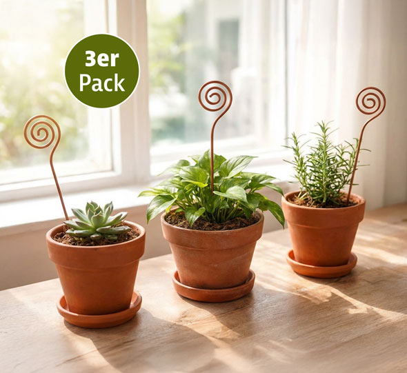 Kupfer-Pflanzenstab �Spirale�