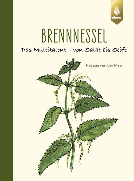  Brennnessel  