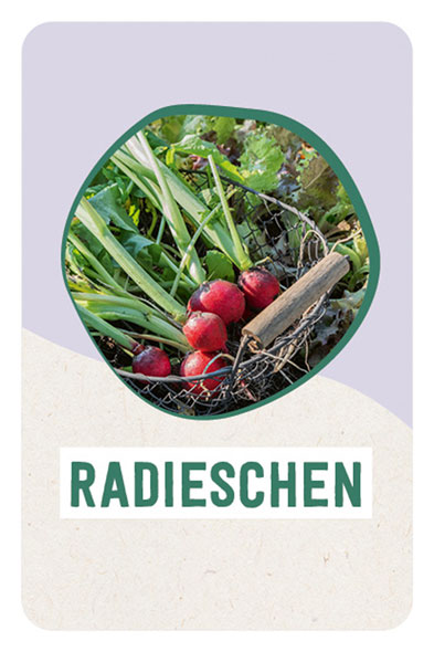 Hochbeet super easy01