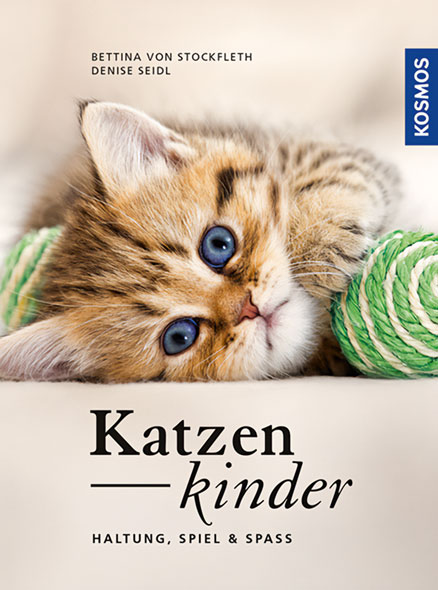 Katzenkinder