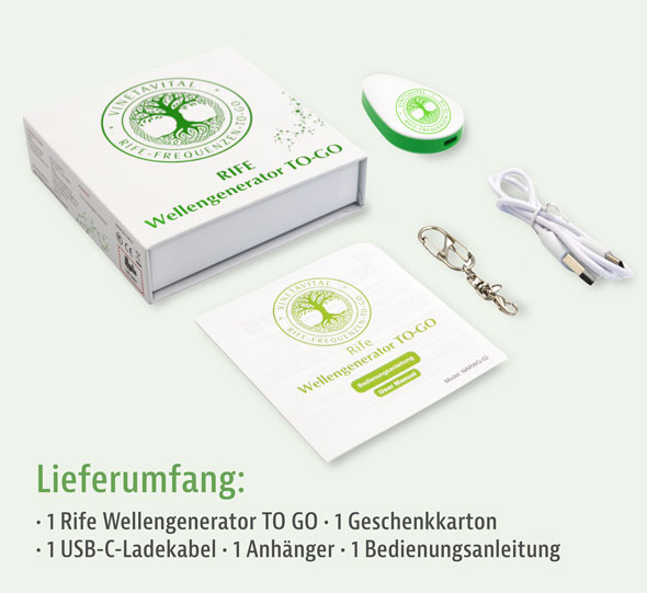 Rife Wellengenerator06