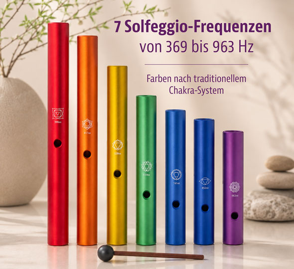 Wah-Wah-Musikinstrument mit Hohlzsockel01