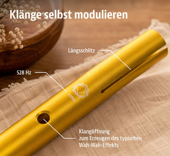 Wah-Wah-Musikinstrument mit Hohlzsockel02