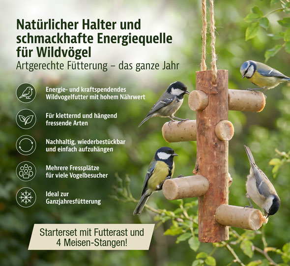 Starter-Set Futterast und 4 Meisenstangen mit Insekten01