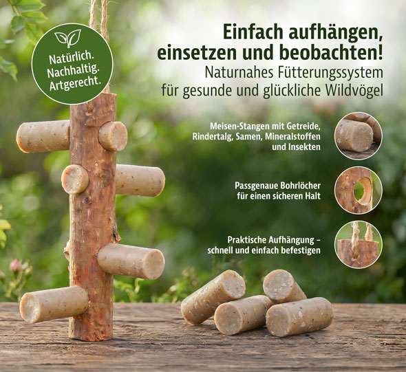 Starter-Set Futterast und 4 Meisenstangen mit Insekten02